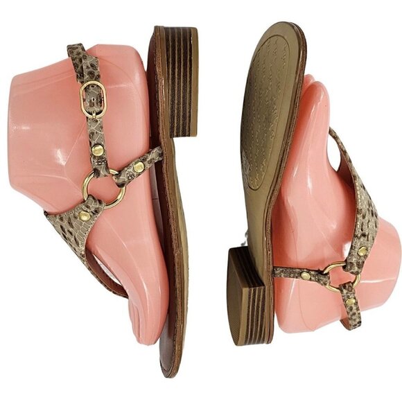 KELLY & KATIE Bania Tan Faux Snakeskin Stacked Heel Thong  Sandals 8M - Picture 4 of 9
